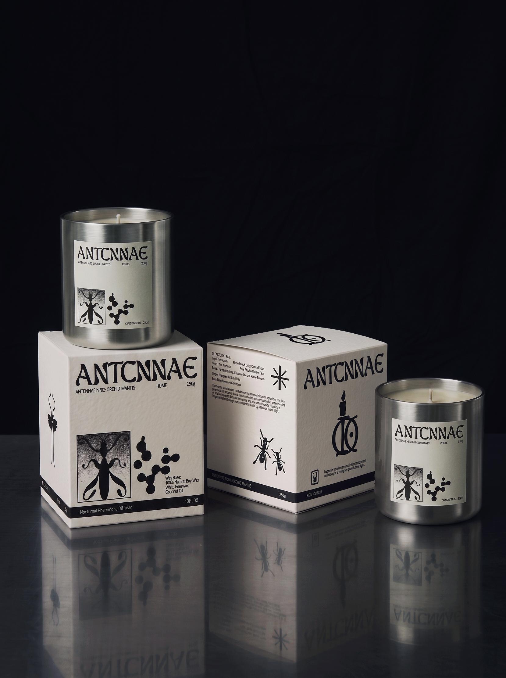 ANTCNNAE