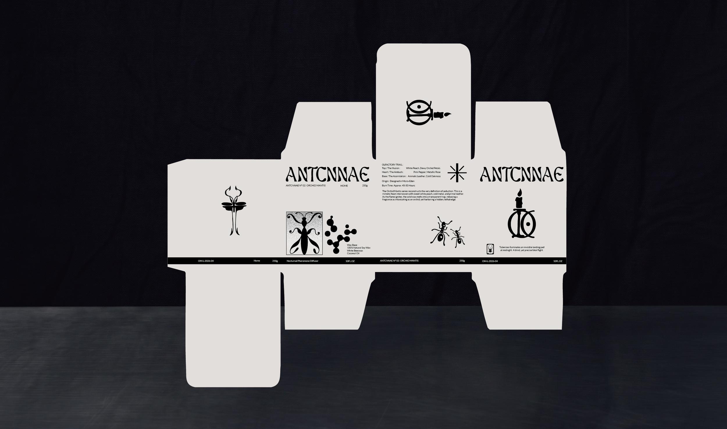 ANTCNNAE