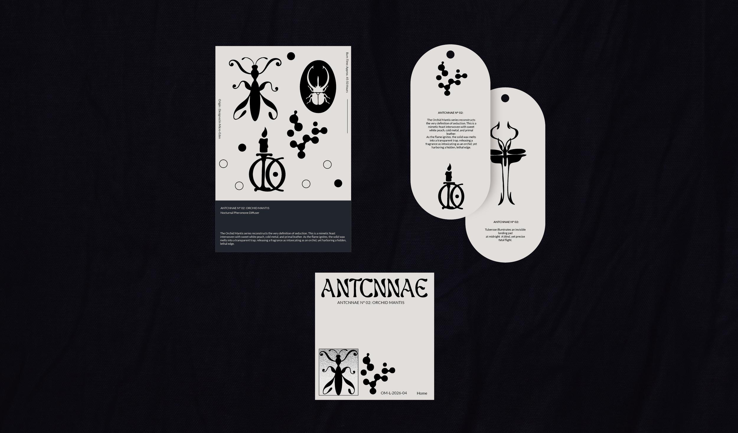 ANTCNNAE